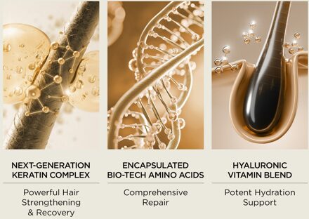 Perricone MD Triple Keratin Repair Shampoo 10oz FG