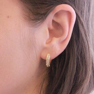 Perry Oorbellen - Goud en Kristal