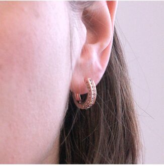 Perry oorbellen - Oostenrijks kristal Wit en roségoud - One Size