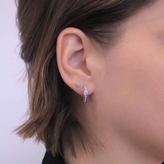 Perry Oorbellen - Zilver en Kristal