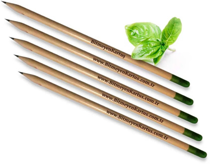 Personalized Basil Seed Green Pencil (100 Pcs) Reliable Quality Cost Effective School Pen Stationery Multi