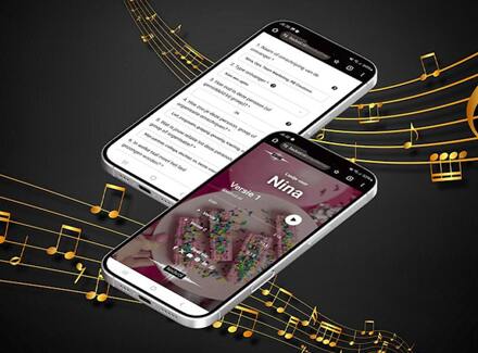 Persoonlijk liedje cadeau (100% op maat gemaakt)