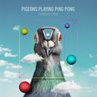 Perspective - Pigeons Playing Ping Pong