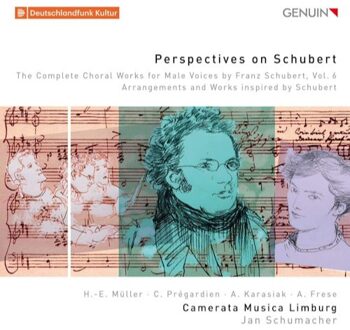 Perspectives On Schubert