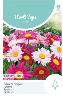 Perzische Margriet Bloemzaad - Robinson's Giants - Gemengd