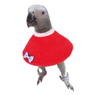 Pet Anti-Bite Vogels Papegaai Kraag Anti-Kras Elizabethaanse Cirkel Cloak Cover Vogel Benodigdheden Accessoires blauw L
