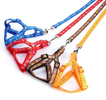 Pet Dog Harness Leash Set Cartoon Animal Print Nylon Kleine Hond Kat Kraag blauw patroon willekeurig