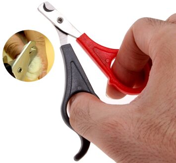 Pet Hond Kat Nail Clippers Cutter Claw Grooming Schaar Trim Trimmers Teen CareWarm's huis # HCNSH #