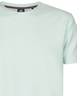 Petrol Industries Heren shirt m-1060-tsr617 6181 cool mint Groen - L