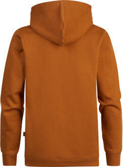 Petrol Industries Jongens Artwork Hoodie Fishhook - Bruin - maat
