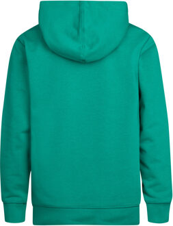 Petrol Industries Jongens Artwork hoodie Wenatchee - Groen - maat