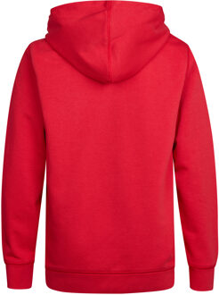 Petrol Industries Jongens Artwork hoodie Wenatchee - Rood - maat 4J / 104cm