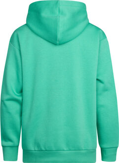 Petrol Industries Jongens Logo Hoodie Ozark - Groen - 4J / 104cm