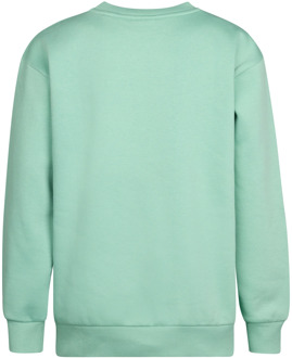 Petrol Industries jongens sweater Mint - 152
