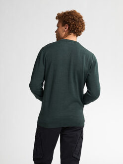 Petrol Industries men knitwear v-neck basic m-ros-kwv200 6089 bottle Groen