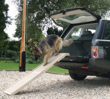 Petstep Fietskar DogStep inklapbare hondenloopplank 180 cm