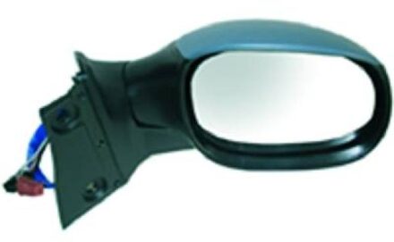 Peugeot Buitenspiegel 4200224