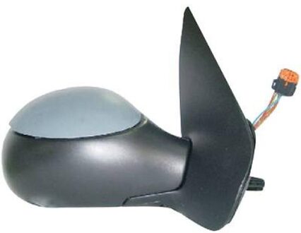 Peugeot Buitenspiegel 4225224