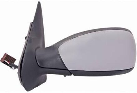 Peugeot Buitenspiegel 4232325