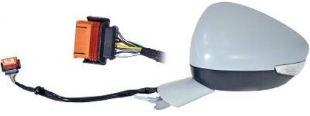 Peugeot Buitenspiegel 4244225