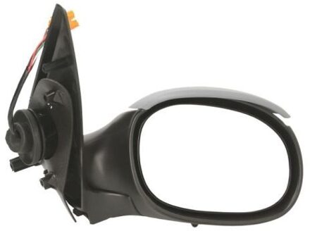 Peugeot Buitenspiegel 5402041121295P