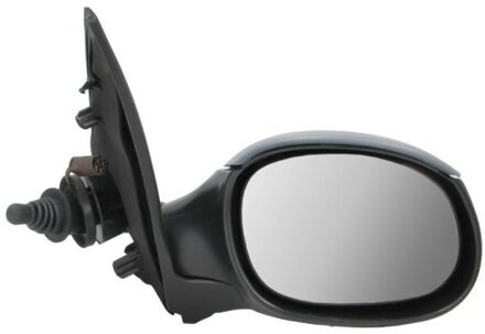 Peugeot Buitenspiegel 5402041121532P