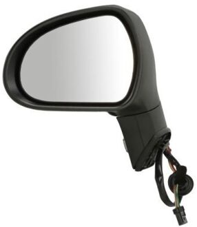 Peugeot Buitenspiegel 5402041121543P