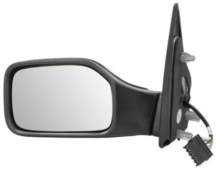 Peugeot Buitenspiegel 5402041125289P