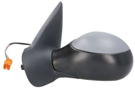 Peugeot Buitenspiegel 5402041125295P