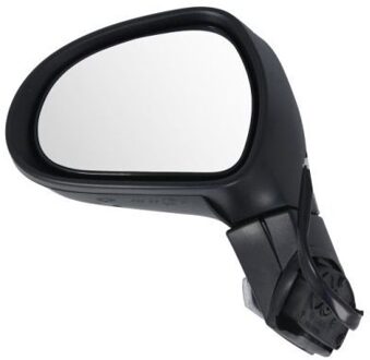 Peugeot Buitenspiegel 5402041131281P