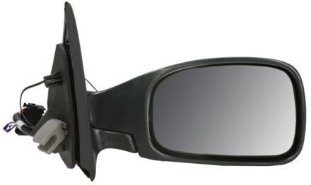 Peugeot Buitenspiegel 5402041131282P