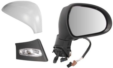 Peugeot Buitenspiegel 5402041132282P