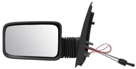 Peugeot Buitenspiegel 5402041133289P