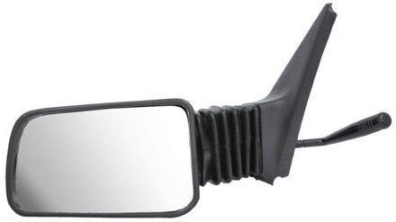 Peugeot Buitenspiegel 5402041191278P