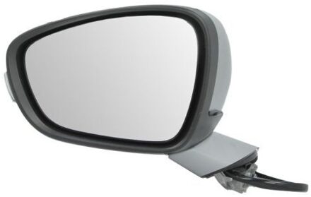 Peugeot Buitenspiegel 540208035361P