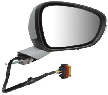 Peugeot Buitenspiegel 540208035362P