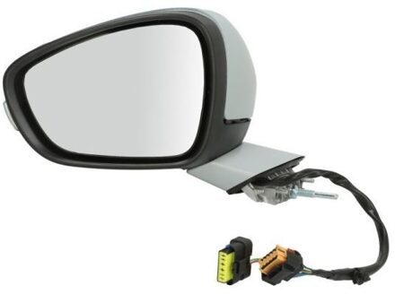 Peugeot Buitenspiegel 540208035365P