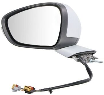 Peugeot Buitenspiegel 5402081141312P