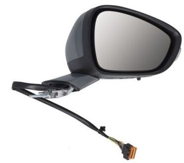 Peugeot Buitenspiegel 5402081141315P