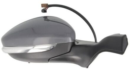 Peugeot Buitenspiegel 5402082002054P