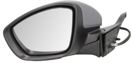Peugeot Buitenspiegel 5402082002055P