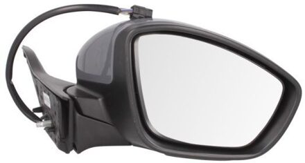 Peugeot Buitenspiegel 5402082002056P