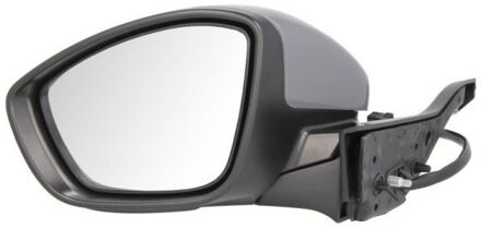 Peugeot Buitenspiegel 5402082002057P
