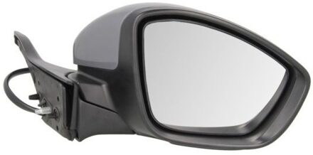 Peugeot Buitenspiegel 5402082002058P