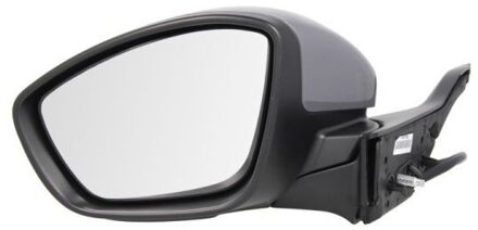 Peugeot Buitenspiegel 5402082002069P
