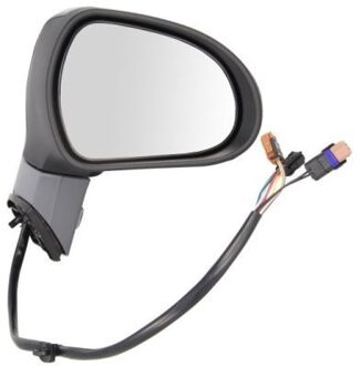 Peugeot Buitenspiegel 5402082002074P