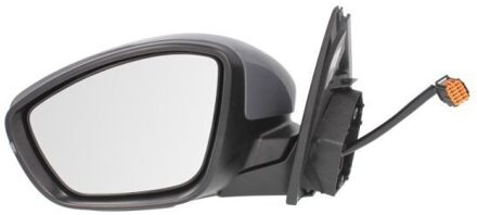 Peugeot Buitenspiegel 5402082002077P