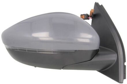 Peugeot Buitenspiegel 5402082002086P