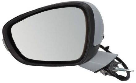 Peugeot Buitenspiegel 5402082002091P