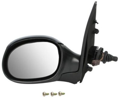 Peugeot Buitenspiegel 5402082002907P